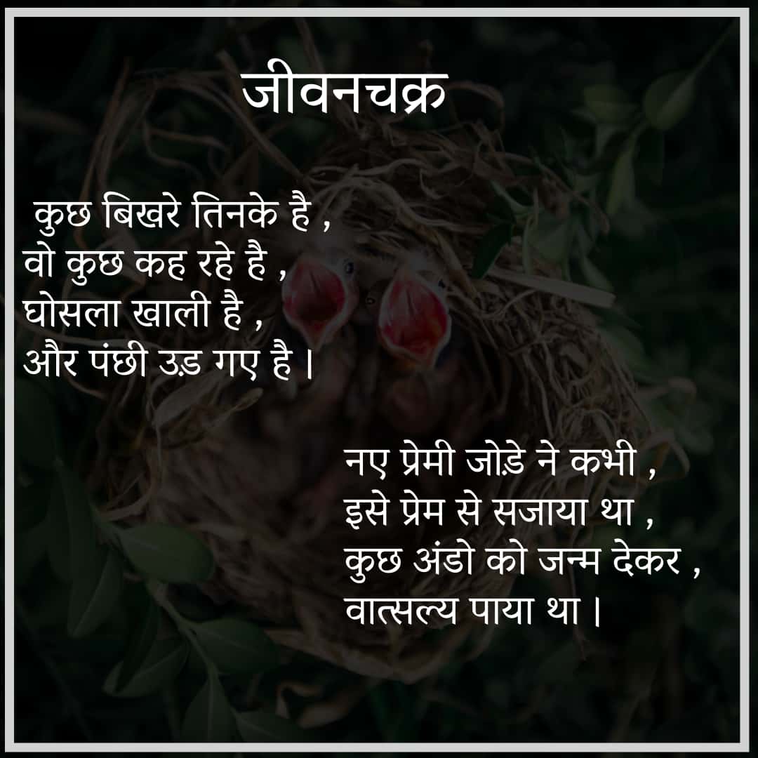 जीवन चक्र